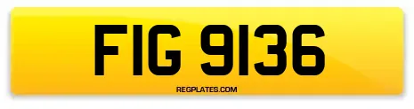 FIG 9136