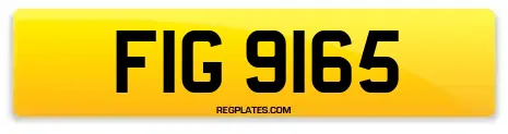 FIG 9165