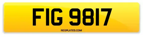 FIG 9817