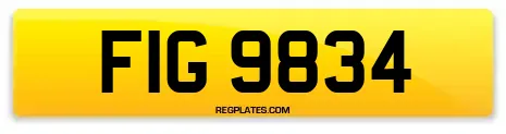 FIG 9834