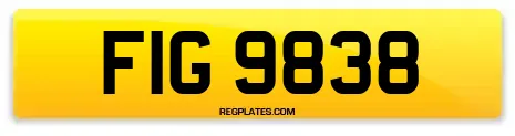 FIG 9838