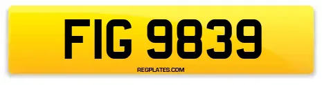 FIG 9839