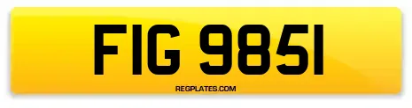 FIG 9851