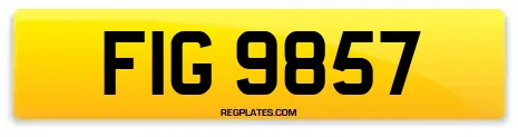 FIG 9857