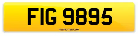 FIG 9895