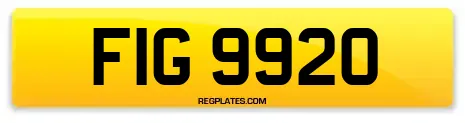 FIG 9920