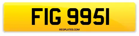 FIG 9951