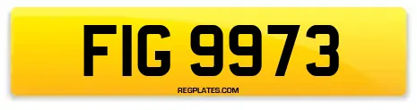FIG 9973