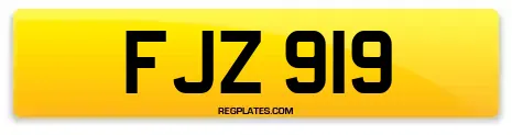 FJZ 919