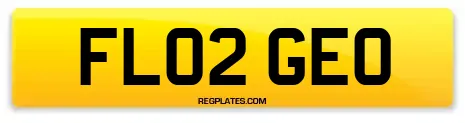 FL02 GEO