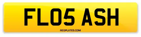 FL05 ASH