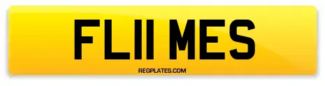 FL11 MES