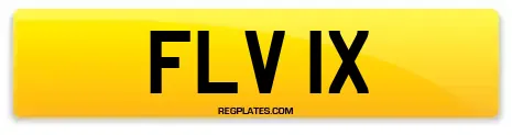 FLV 1X
