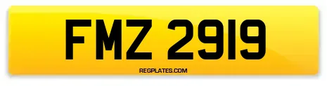 FMZ 2919