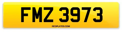 FMZ 3973