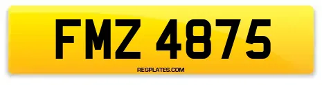 FMZ 4875