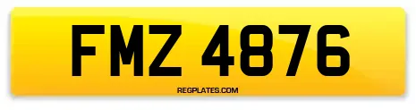 FMZ 4876