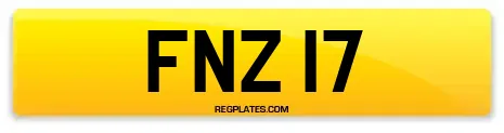 FNZ 17