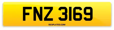FNZ 3169