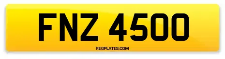 FNZ 4500