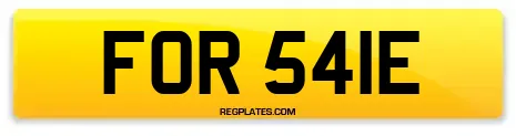 FOR 541E
