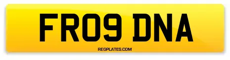 FR09 DNA