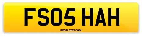 FS05 HAH