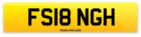FS18 NGH