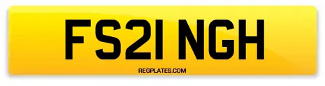 FS21 NGH