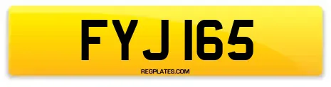 FYJ 165