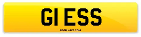 G1 ESS
