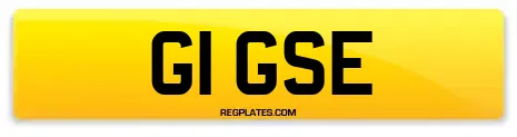 G1 GSE