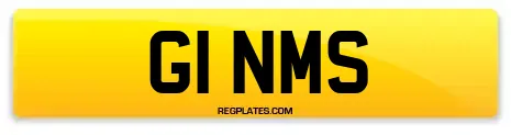 G1 NMS