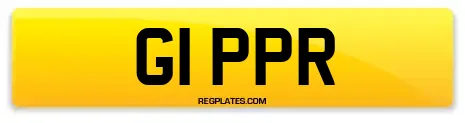 G1 PPR
