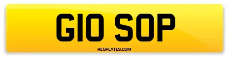 G10 SOP
