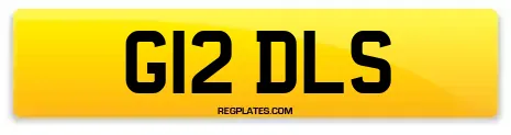 G12 DLS