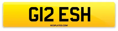 G12 ESH