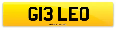 G13 LEO