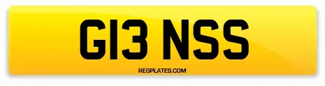G13 NSS