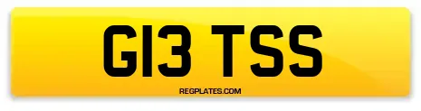 G13 TSS