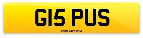 G15 PUS