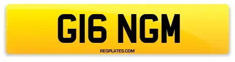 G16 NGM