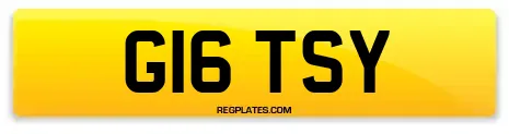 G16 TSY