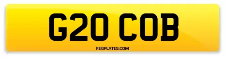 G20 COB