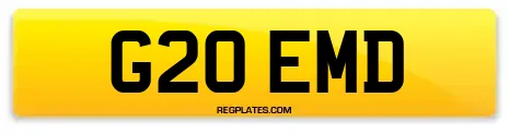 G20 EMD