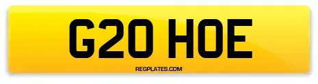 G20 HOE