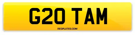 G20 TAM