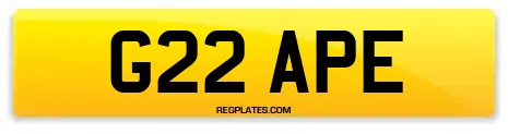 G22 APE