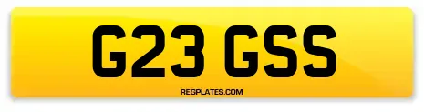 G23 GSS