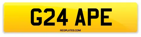 G24 APE